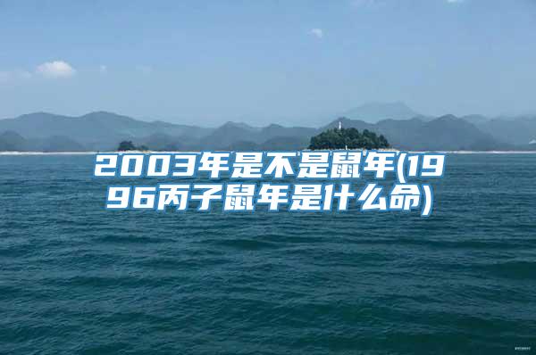 2003年是不是鼠年(1996丙子鼠年是什么命)