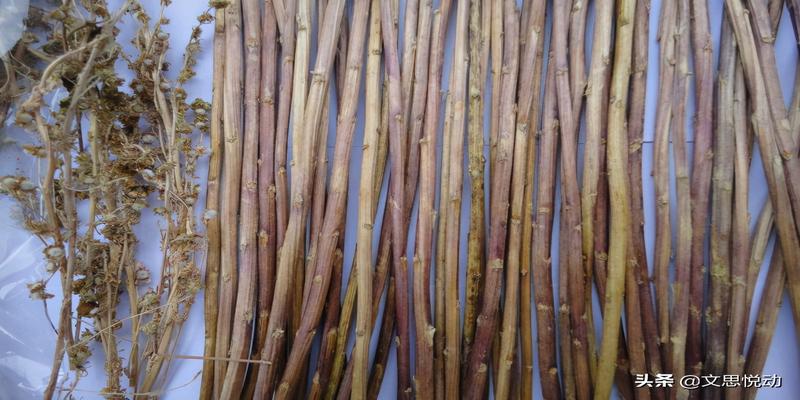 王东岳130.《周易》真是周文王所做吗?