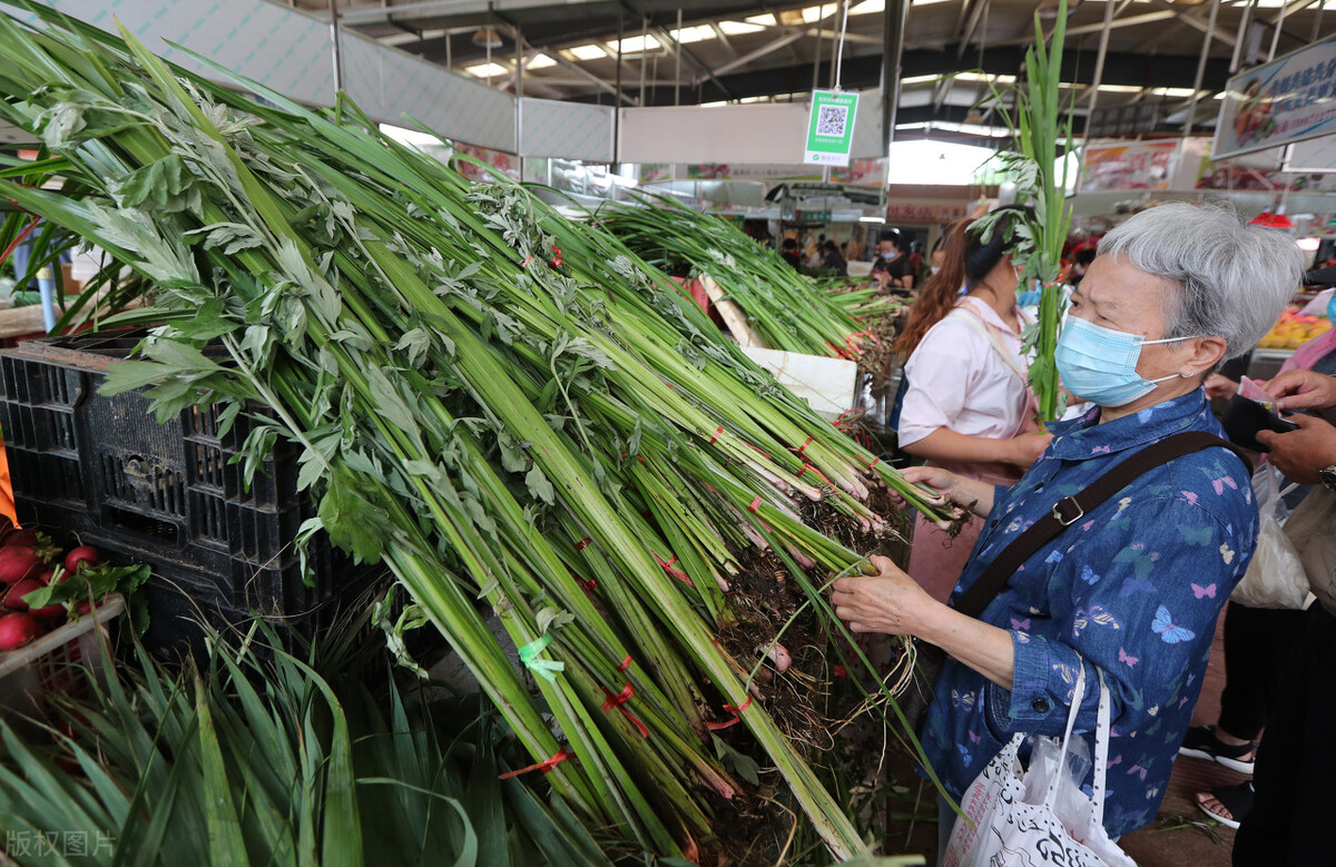 端午节悬挂艾草讲究多，别犯“忌”，这样做会被人笑话