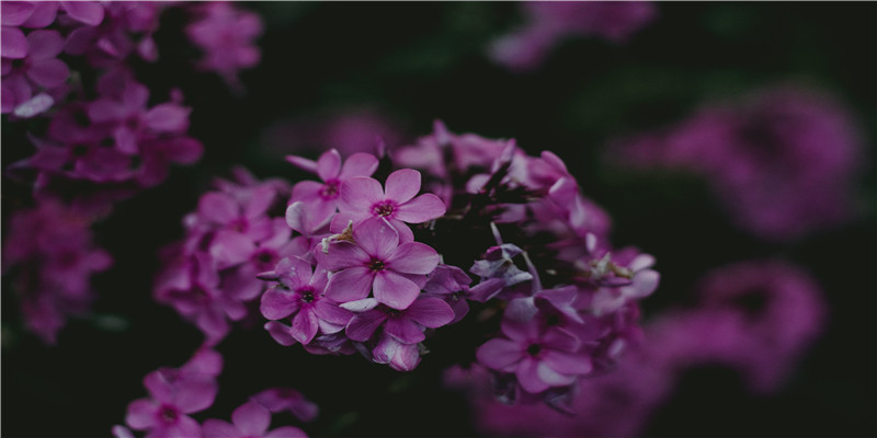 2022虎宝宝取名字大全(2022年出生的男孩起名)