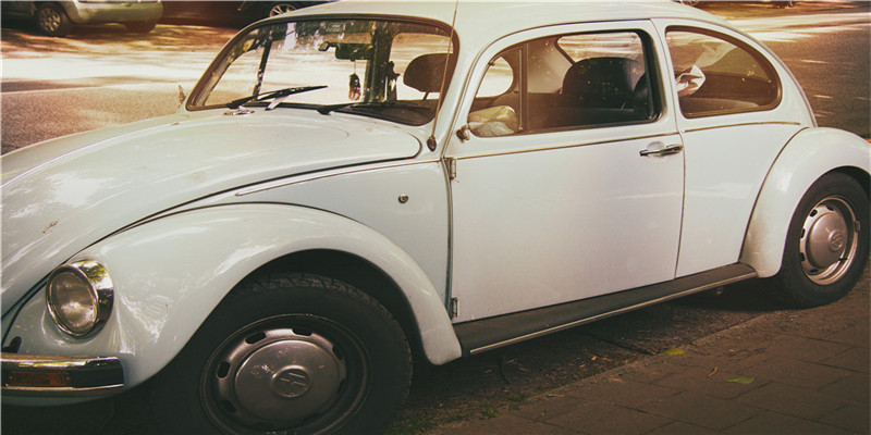 78年天上火命的人禁忌(天竺葵扦插真好活)