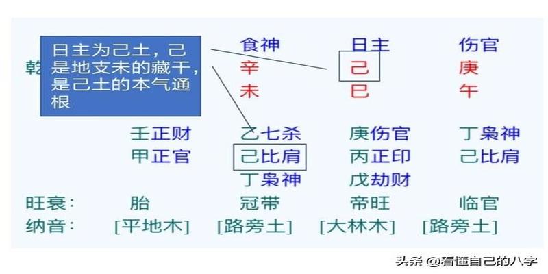 如何分析八字之八字的旺衰(中)——天时不如地利，得地