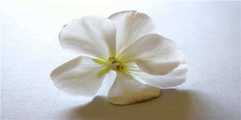 非常准的手相,教你看手相把握未来