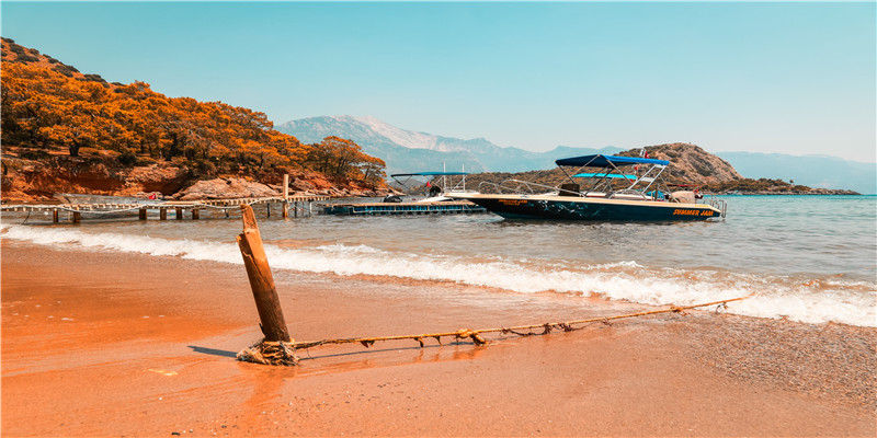 82属狗一生有几次婚姻状况(十二生肖属婚姻相配对表大全)