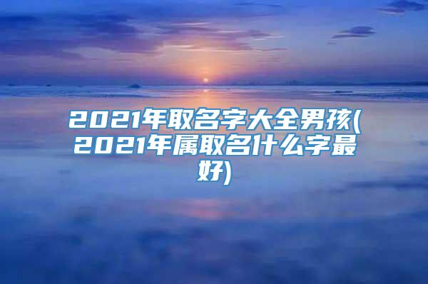 2021年取名字大全男孩(2021年属取名什么字最好)