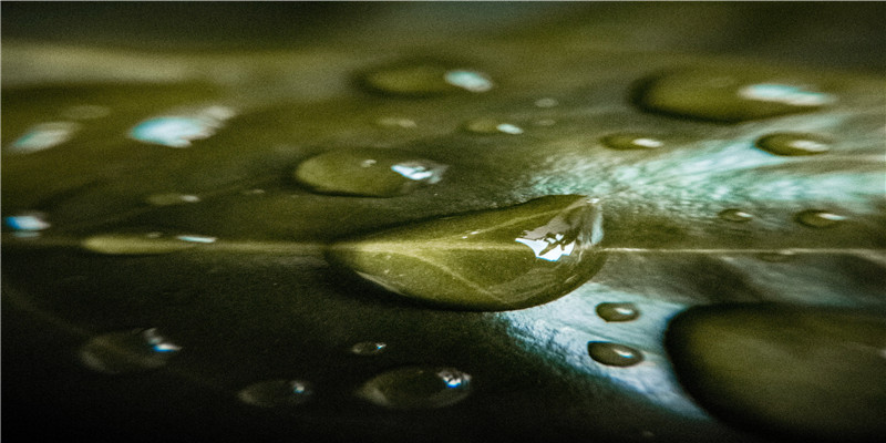 八字不带正桃花(带桃花的八字命理)