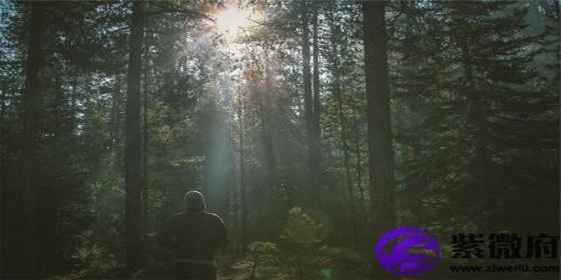 丙火生于寅月取用神(丙火生于卯月用神)