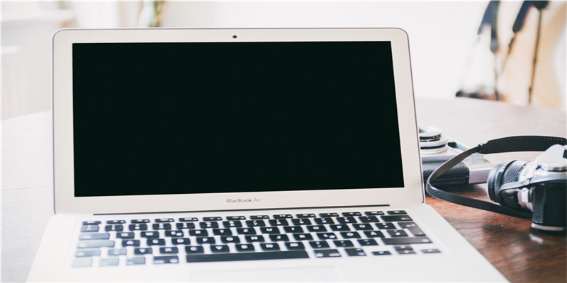 养三只猫是一种怎样的体验？过来人的养猫（劝退）指南