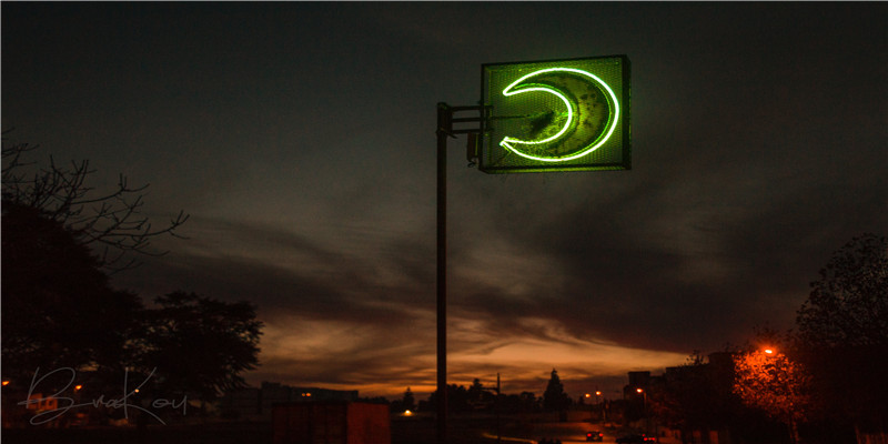 这又是什么征兆啊？大规模老鹰在南京上空盘旋，居民：真是少见啊