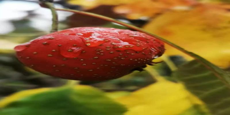 为什么要学易经(我为什么想学)