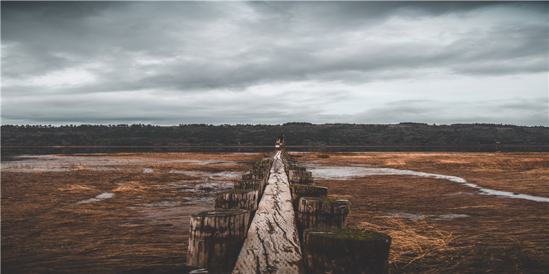 至今未婚的8位央视主持人，年龄最小的37岁，最大的已经60岁