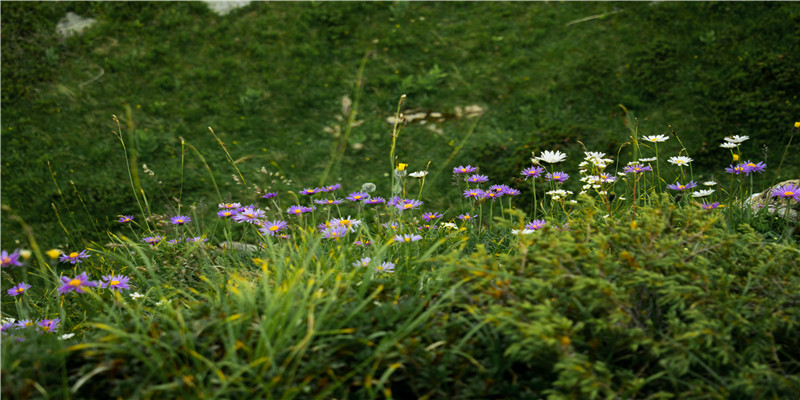 2022年结婚领证吉日抢先选，这些日子需预约