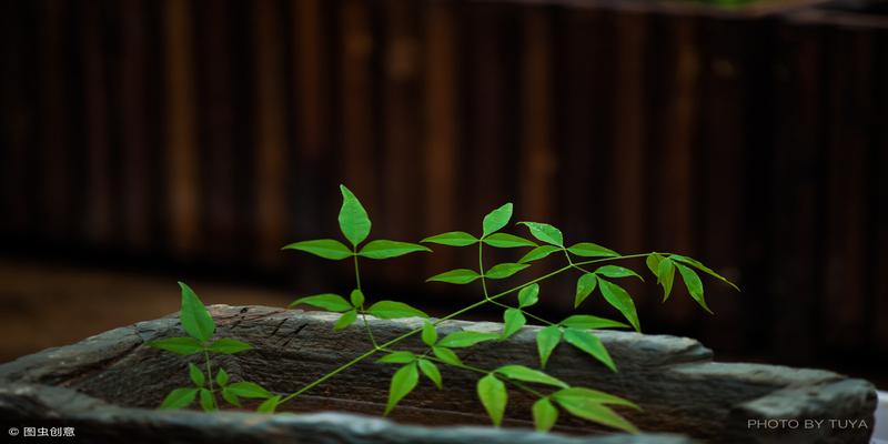 为什么会看不懂《易经》?