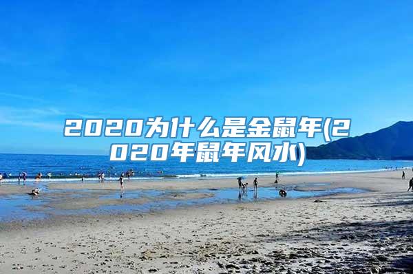 2020为什么是金鼠年(2020年鼠年风水)