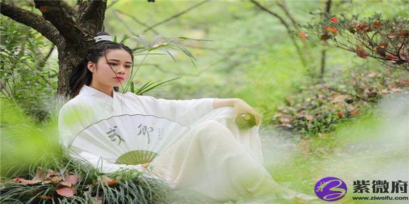 2016年山下火命是什么意思(山下火命是什么意思这个命好不好)