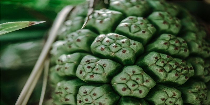 claire在国外眼里名字(我claire)