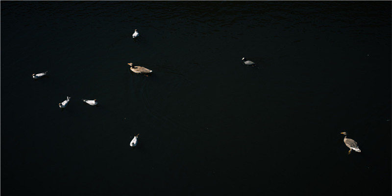 69年属鸡男2021年运势运程(放羊诗人李松山结婚了)