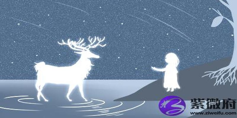 2019年金猪年(白蜡金2021年运势)