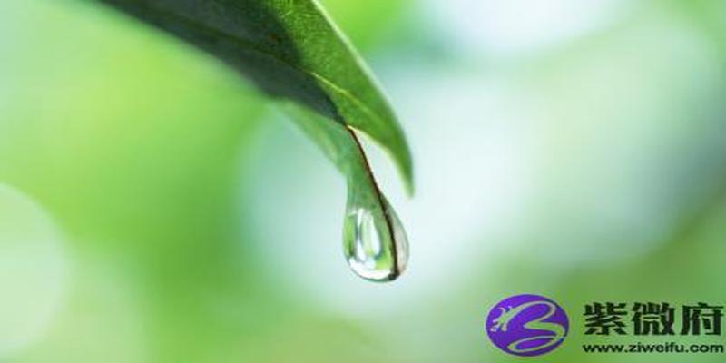 海中金和松柏木相克吗?可以在一起吗