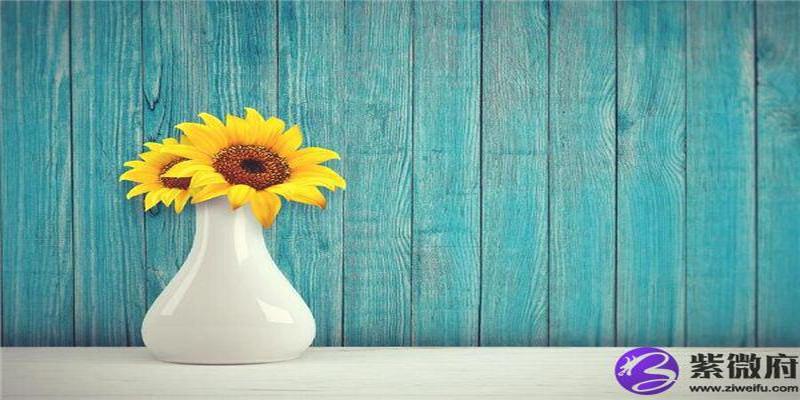 卯午相破会怎样(卯午破是什么)