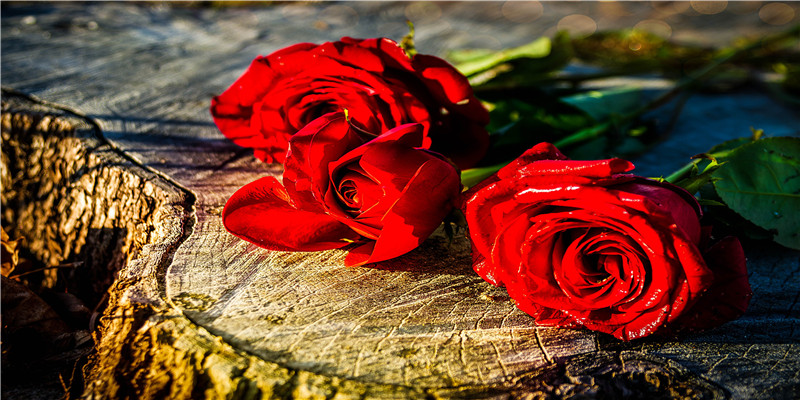 梦到掉进粪坑是什么意思(做梦梦到粪坑是什么意思)