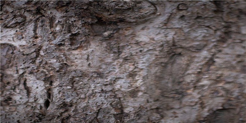 互联网上搞玄学，现在的年轻人都怎么了？