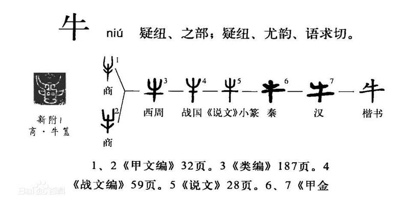 象数易经和义理易经到底指什么