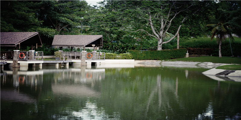 2021年的牛五行缺什么(股市“315”)