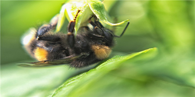 中国式婚姻真相:笨女人才顾家,聪明女人这样做……