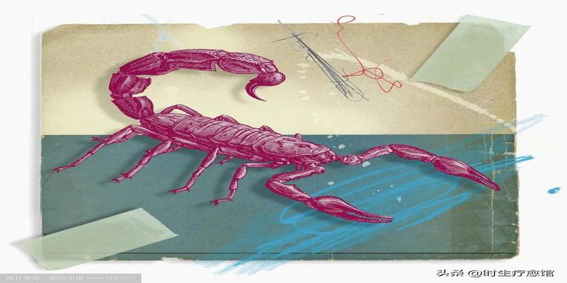 2022免费算命(2022年度运势)