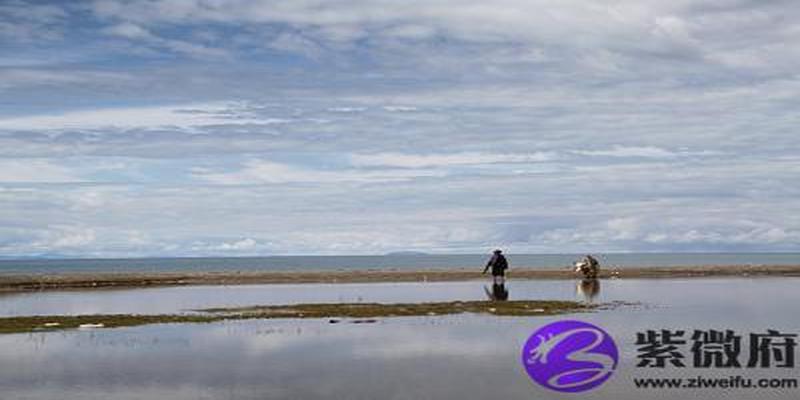 八字不合如何说服父母(父母八字与孩子八字怎么看合不合)