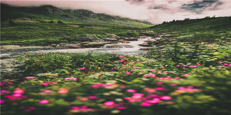 79年羊今年每月运势(79年什么时候起大运)