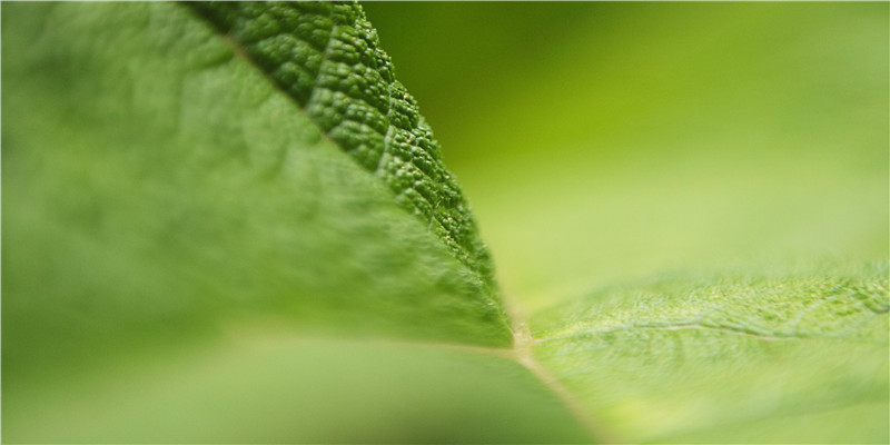2月10日是什么日子(11.02是什么日子)