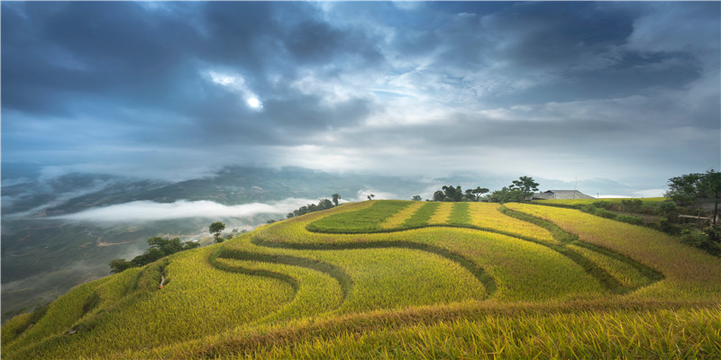 20个容易用错的成语，快来看看你用错过了吗