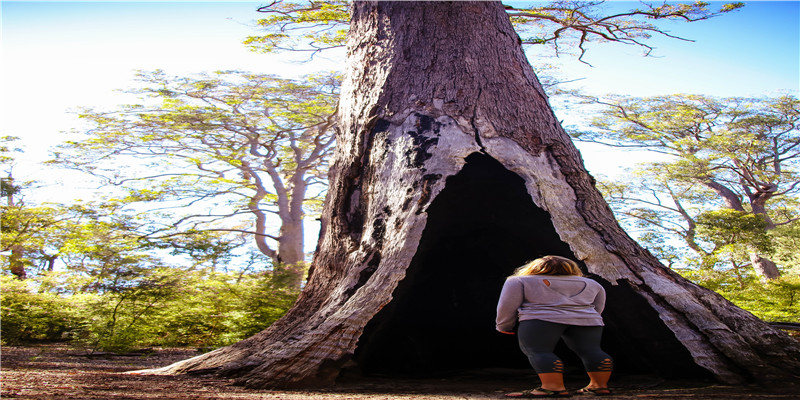 岑姓男孩取什么名字好