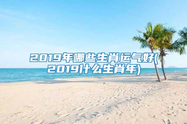 2019年哪些生肖运气好(2019什么生肖年)