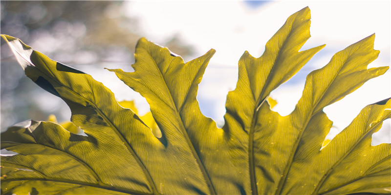 河北3市实名曝光!这95人将处处受限