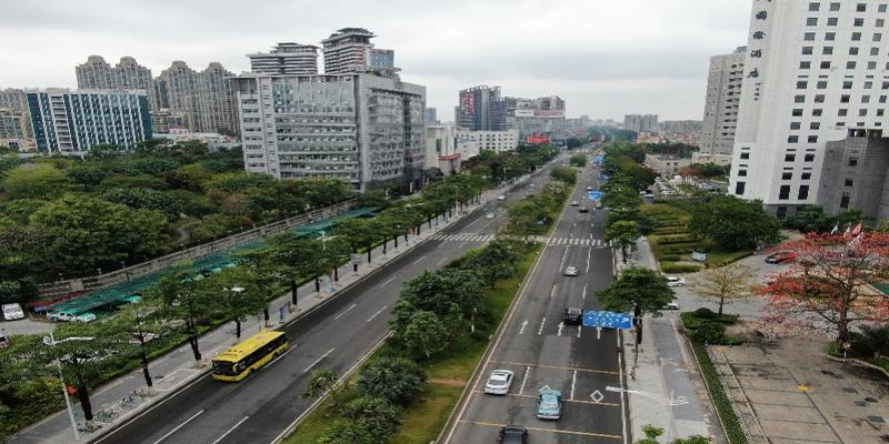 东莞精细化管理考核:樟木头缘何连续垫底?如何突围?