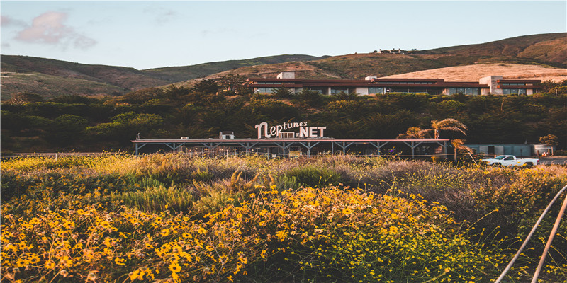 梦到打猫是什么意思(周公解梦梦见猫攻击自己)