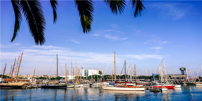 2020年18岁是几几年出生的(2020年18周岁)