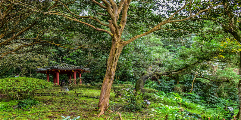 10个大富大贵的《易经》男宝宝名，华而不彰，简而不俗