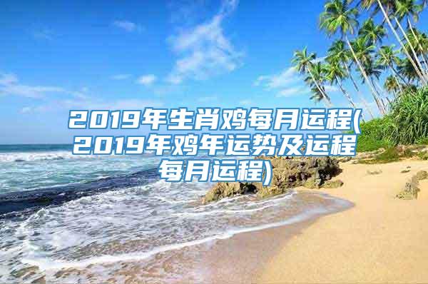 2019年生肖鸡每月运程(2019年鸡年运势及运程每月运程)