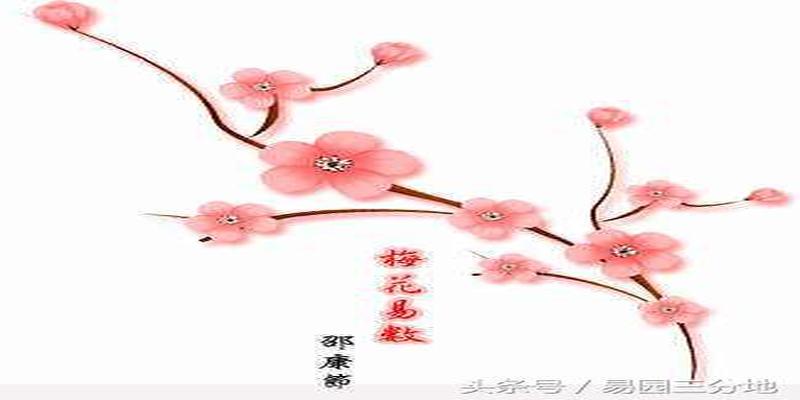 梅花易数如何变爻(邵雍梅花易数)