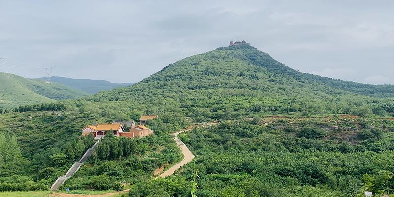 曾为少林寺管会成员,离寺后占山圈地