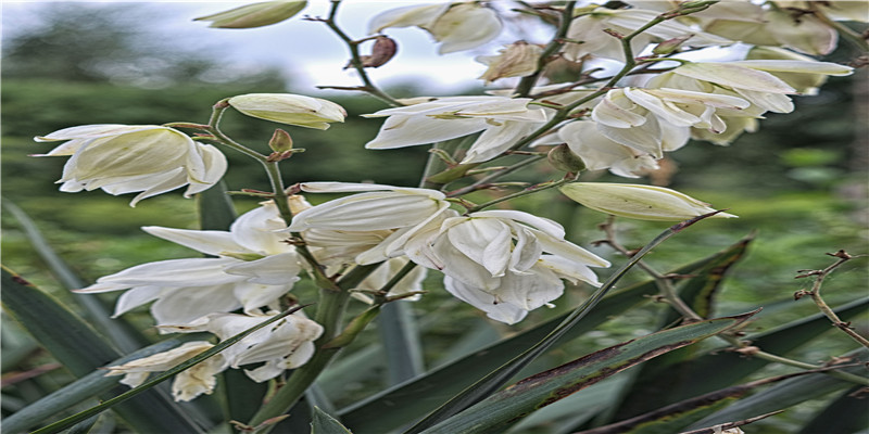 97年小伙“最牛简历”刷屏：面子算什么，我只想搞钱