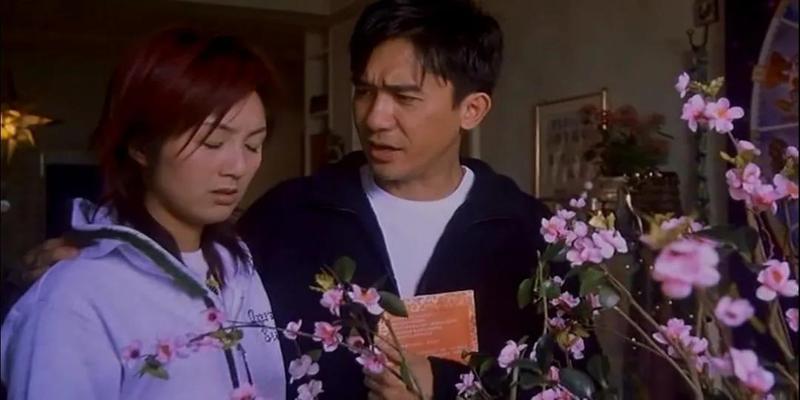没抓住谷德昭这根救命稻草，嘉禾影业终以一部“风水片”画上句号