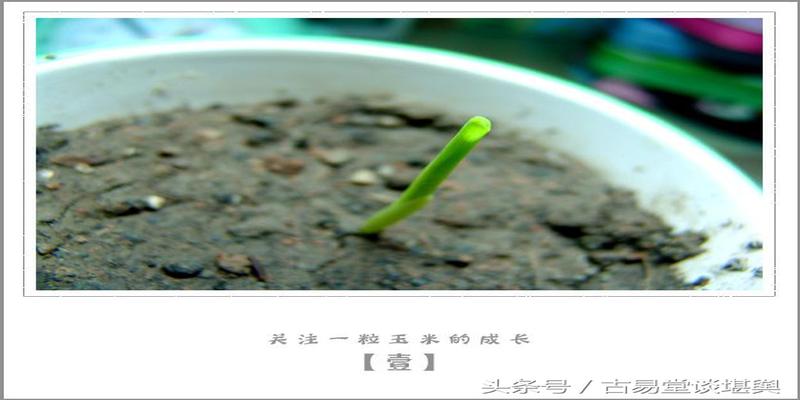 古今精典注解《葬书-乘生气》