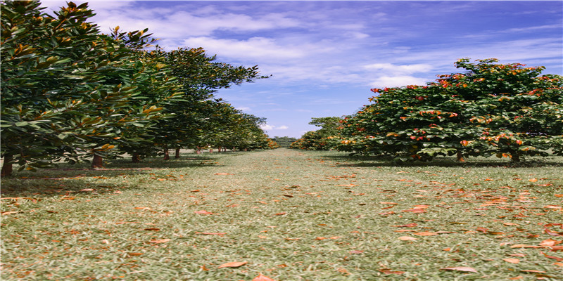 至今未婚的8位央视主持人，年龄最小的37岁，最大的已经60岁