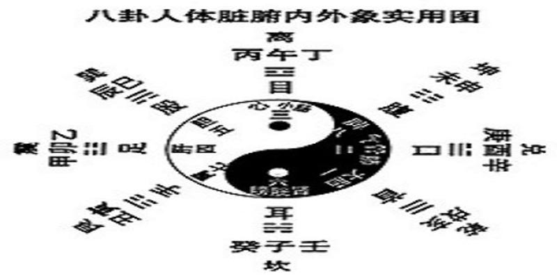 梅花易数起卦七法之第五法—取诸（身）物起卦法