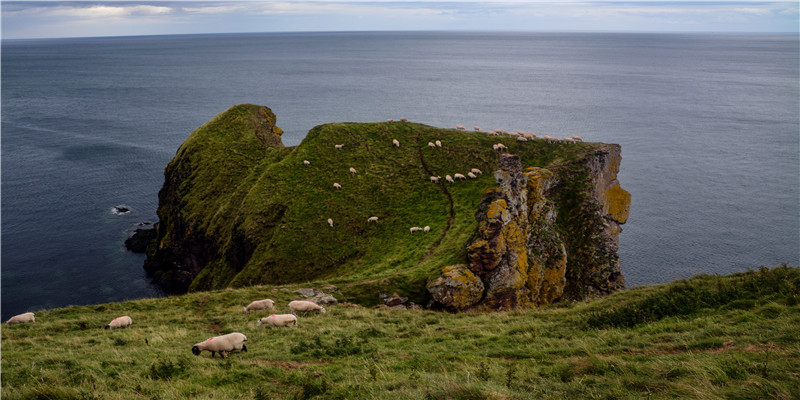 互联网上搞玄学，现在的年轻人都怎么了？